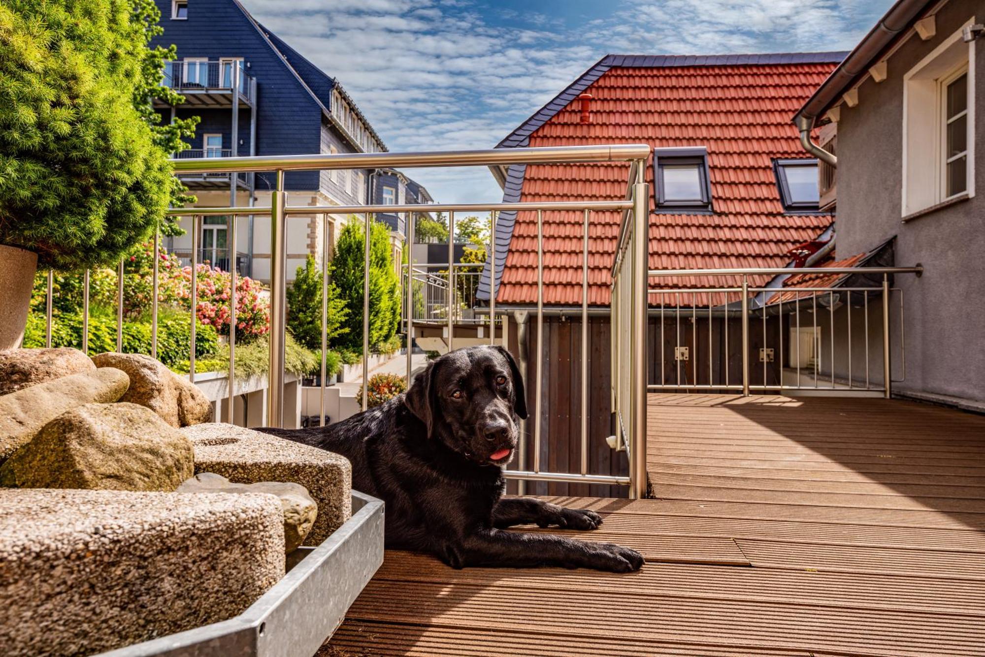 City-Appartements Am Wall Goslar Exterior photo